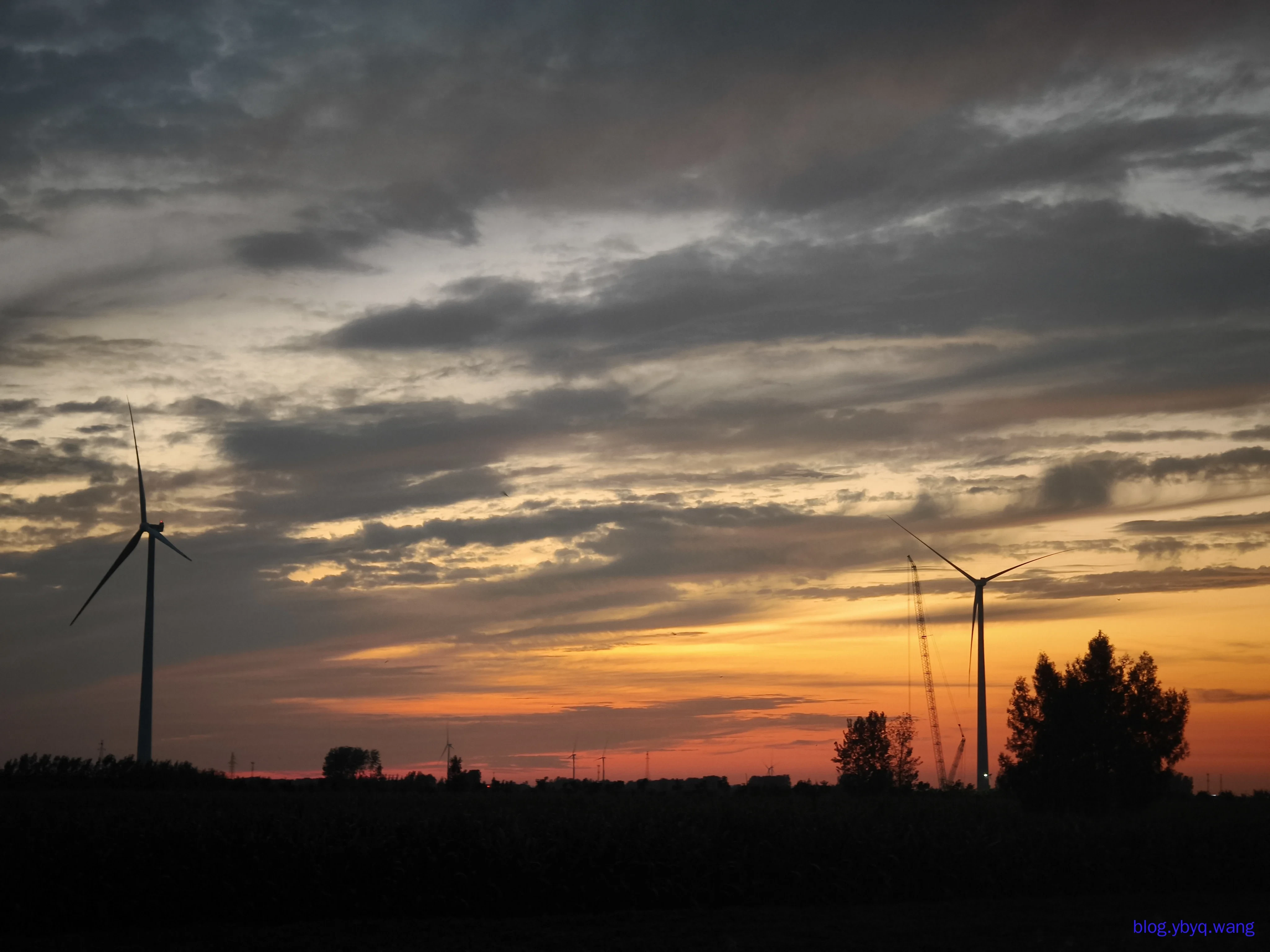 IMG20250811194149.jpg