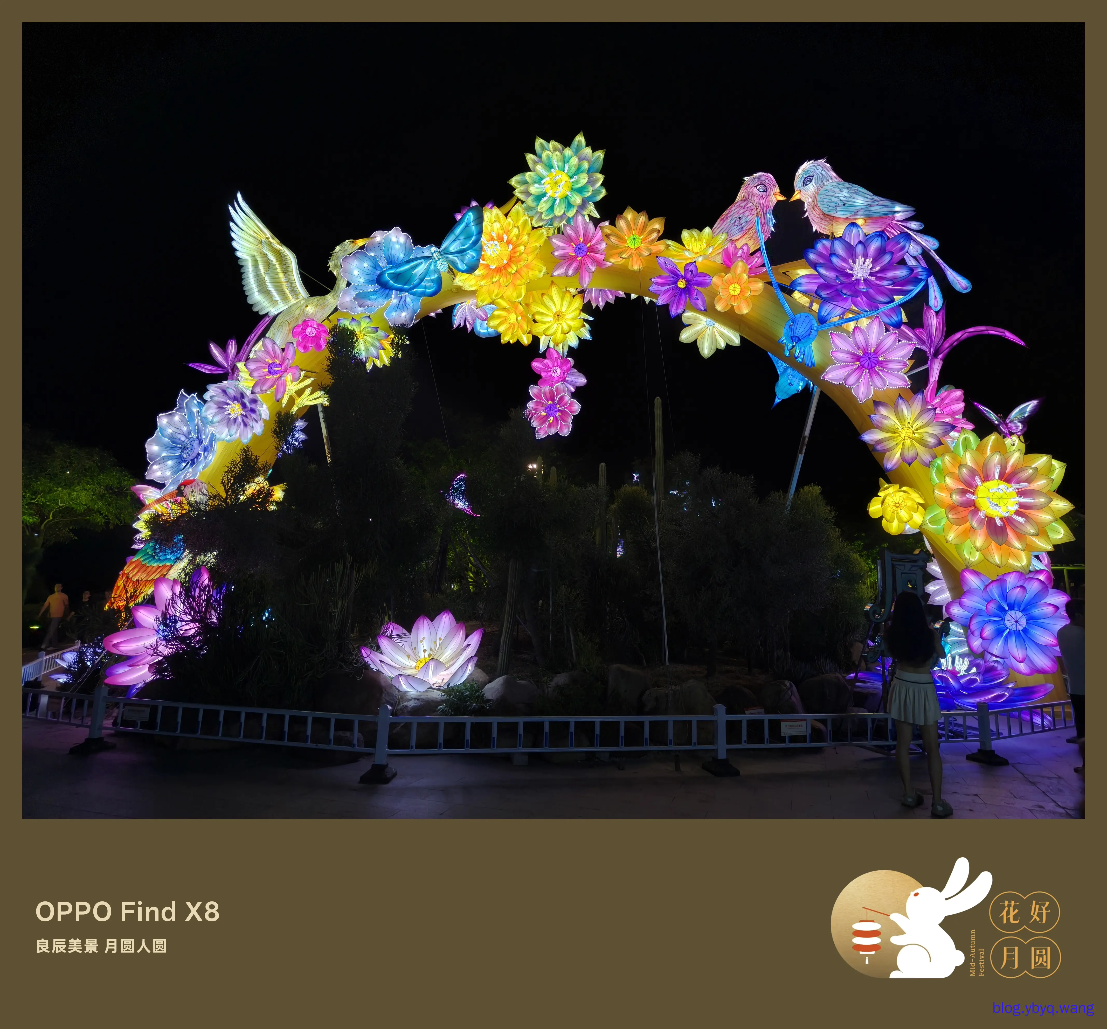 IMG20251006212227.jpg IMG20251006212227.jpg