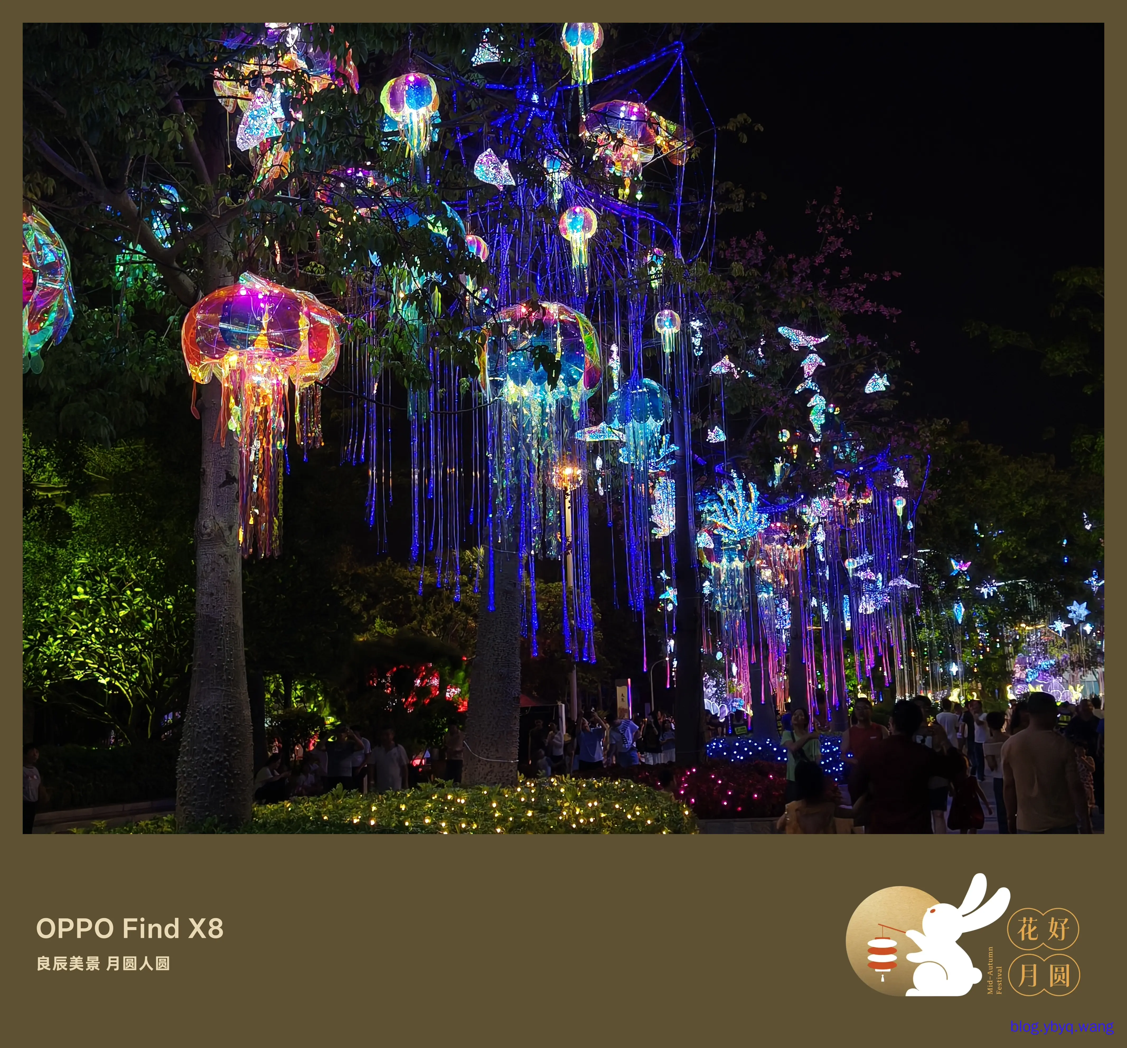 IMG20251006212438.jpg IMG20251006212438.jpg