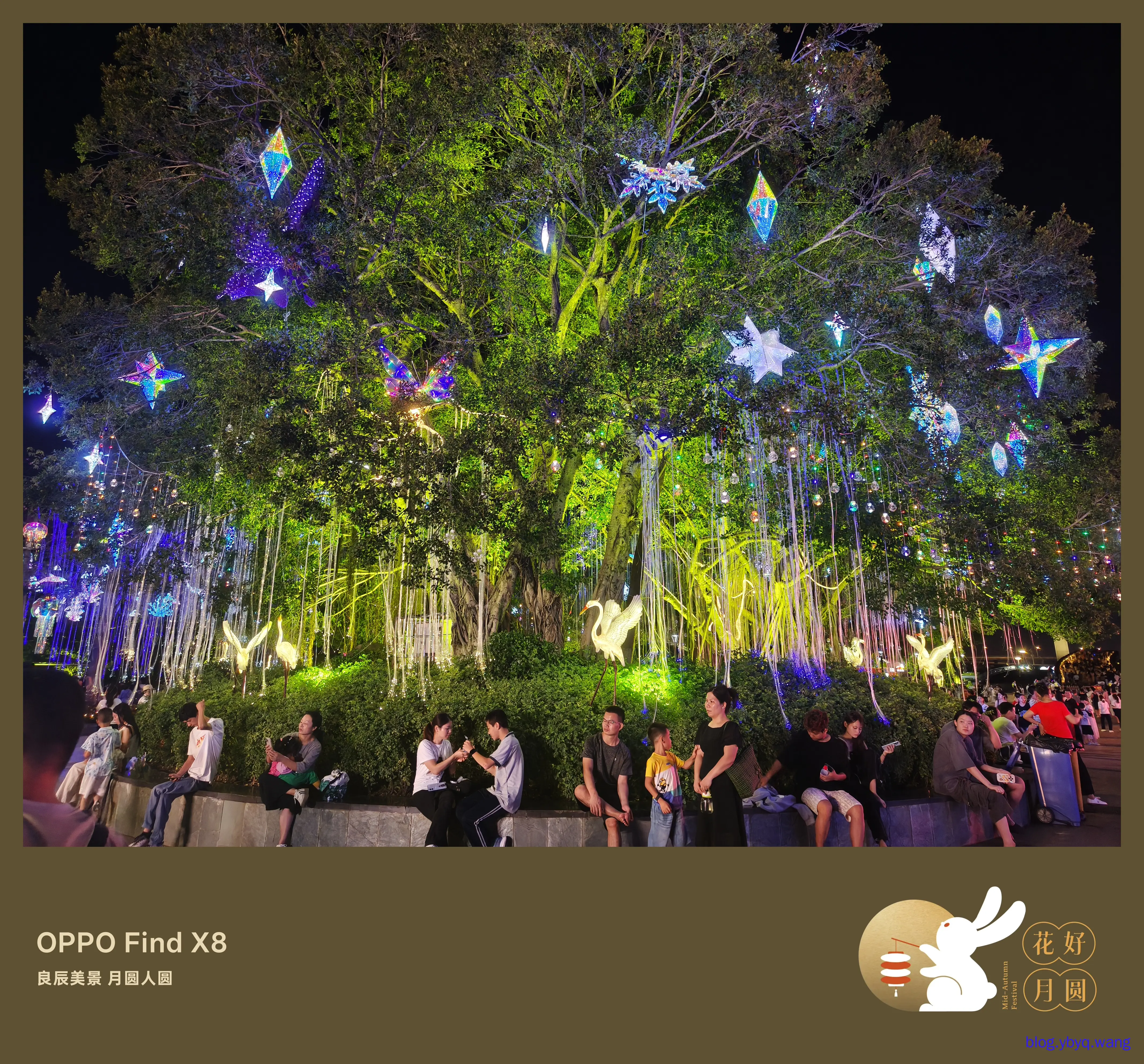 IMG20251006212651.jpg IMG20251006212651.jpg