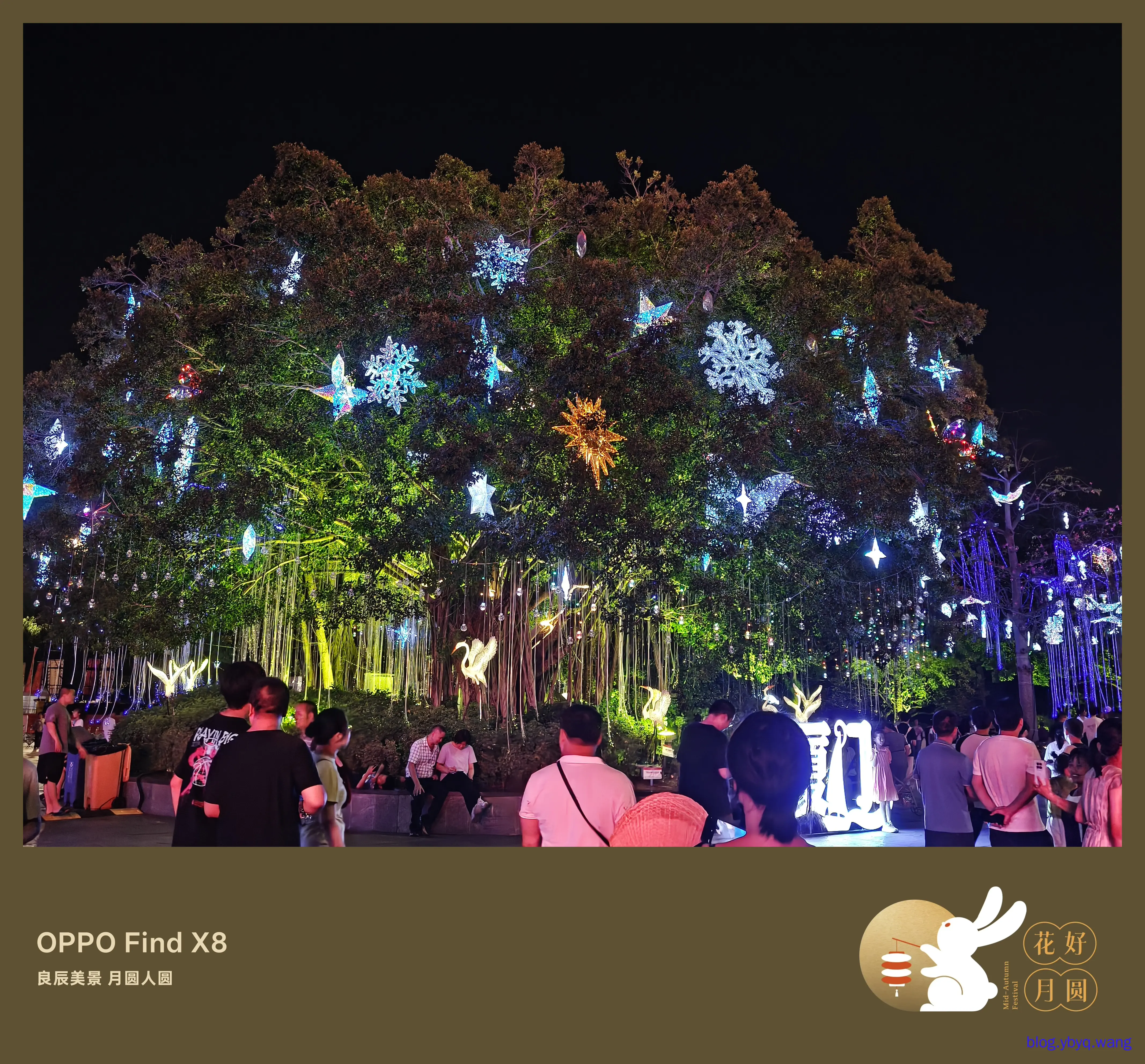 IMG20251006212943.jpg IMG20251006212943.jpg