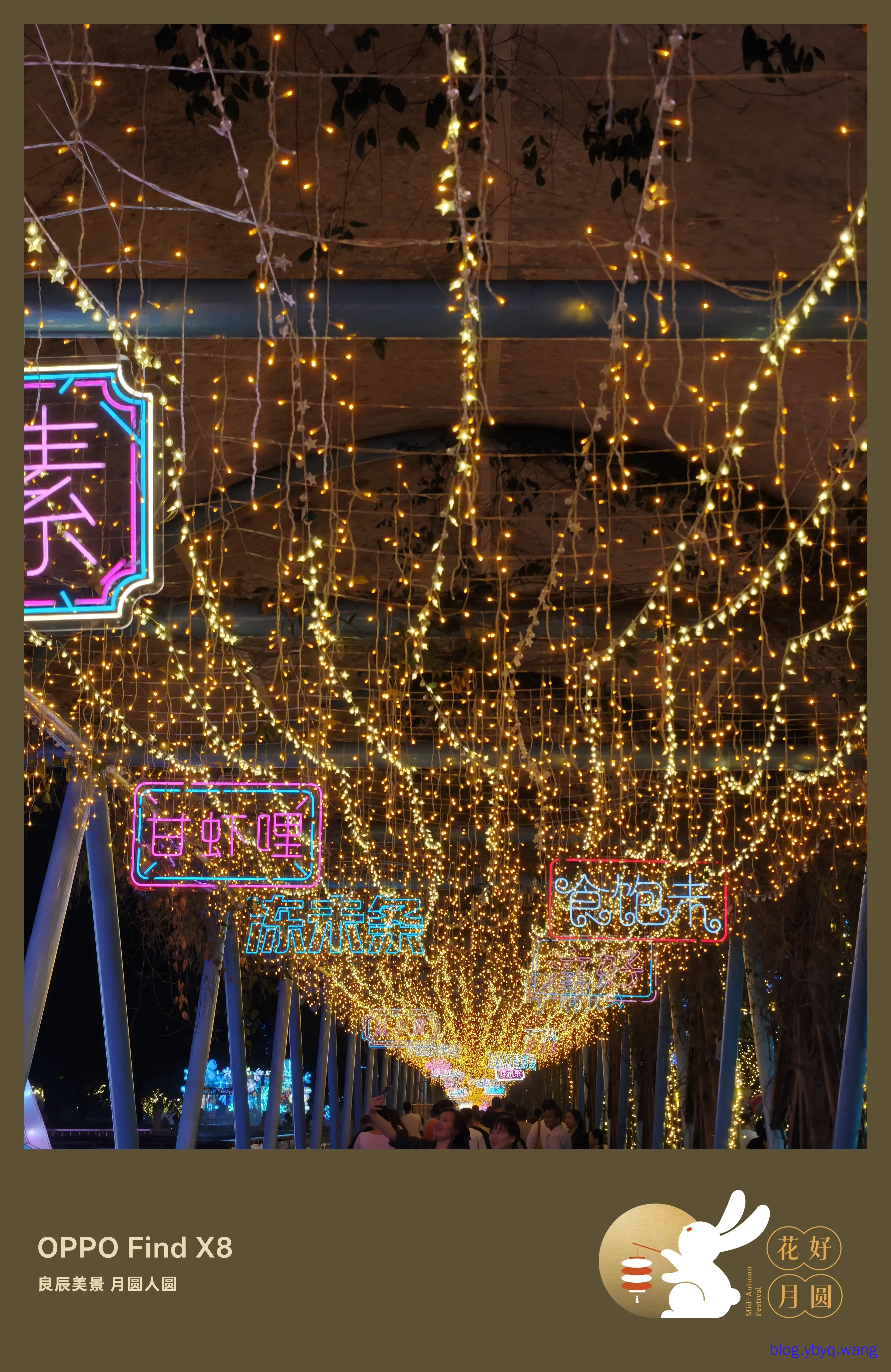 IMG20251006214023.jpg IMG20251006214023.jpg