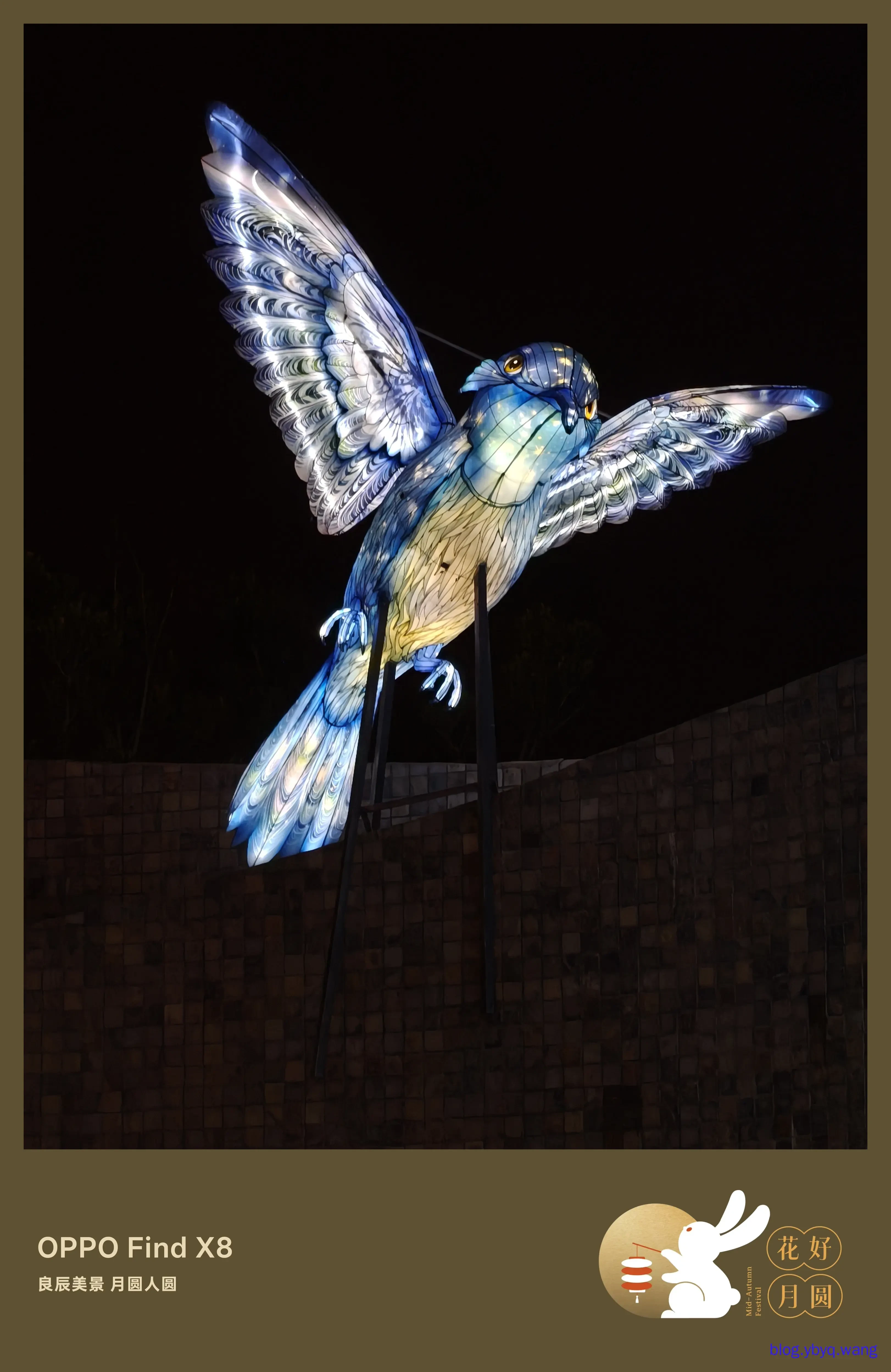 IMG20251006215728.jpg IMG20251006215728.jpg