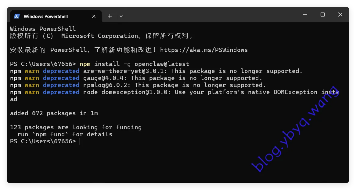 OpenClaw 全局安装过程 OpenClaw 全局安装过程