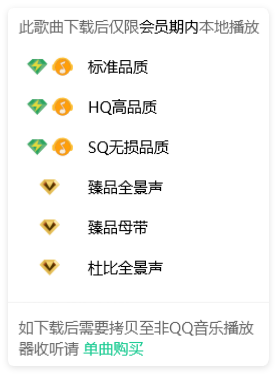 QQ音乐音质选项界面 QQ音乐音质选项界面