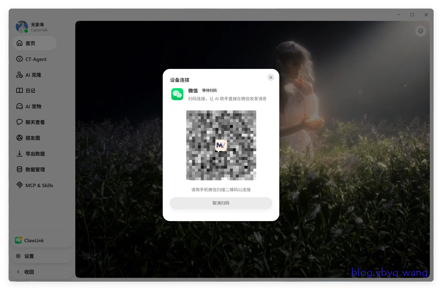 CipherTalk ClawLink 扫码连接微信 ClawBot